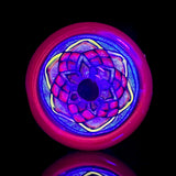 Freek Glass Spiked Dry Peak Top